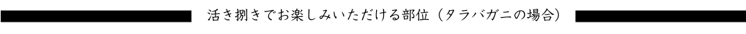 新鮮なネタ